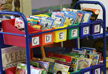 Classroom Library